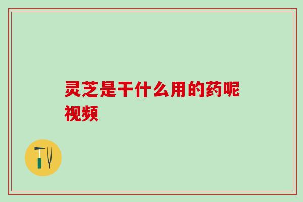 灵芝是干什么用的药呢视频