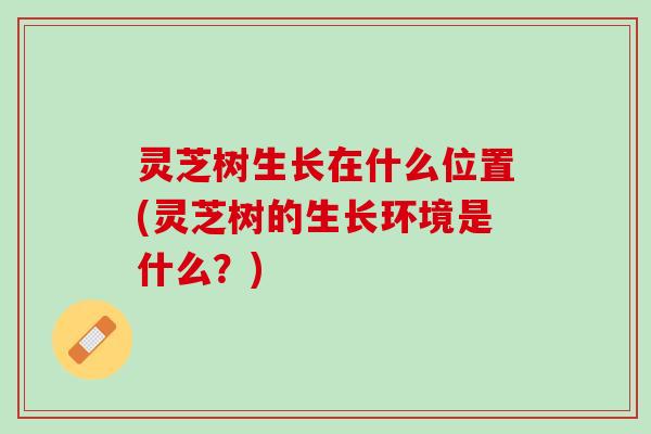 灵芝树生长在什么位置(灵芝树的生长环境是什么？)