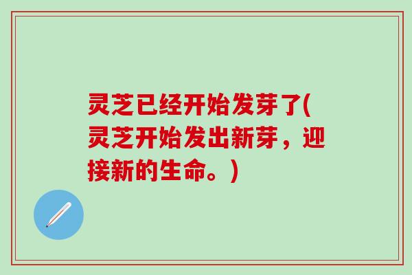 灵芝已经开始发芽了(灵芝开始发出新芽，迎接新的生命。)