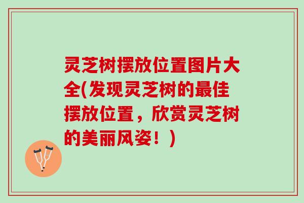 灵芝树摆放位置图片大全(发现灵芝树的最佳摆放位置，欣赏灵芝树的美丽风姿！)