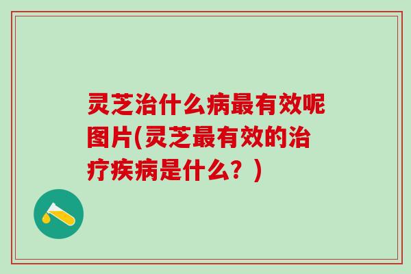 灵芝治什么病最有效呢图片(灵芝最有效的治疗疾病是什么？)
