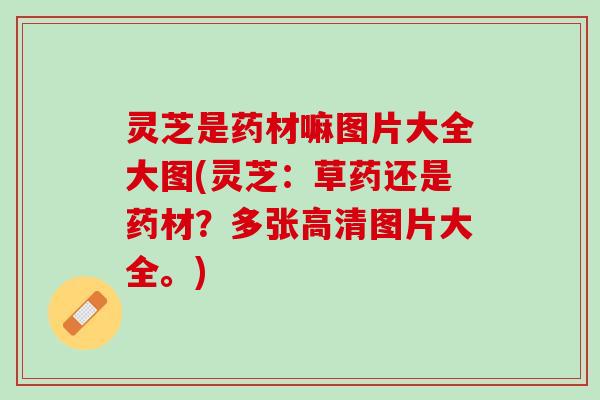 灵芝是药材嘛图片大全大图(灵芝：草药还是药材？多张高清图片大全。)