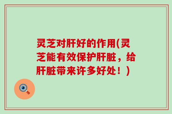 灵芝对肝好的作用(灵芝能有效保护肝脏，给肝脏带来许多好处！)