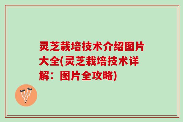 灵芝栽培技术介绍图片大全(灵芝栽培技术详解:图片全攻略) 灵芝栽培技术介绍图片大全(灵芝栽培技术详解:图片全攻略)