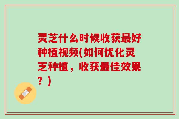 灵芝什么时候收获最好种植视频(如何优化灵芝种植，收获最佳效果？)