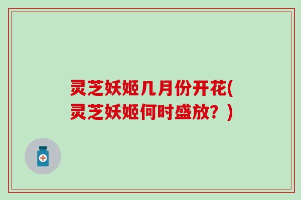 灵芝妖姬几月份开花(灵芝妖姬何时盛放？)