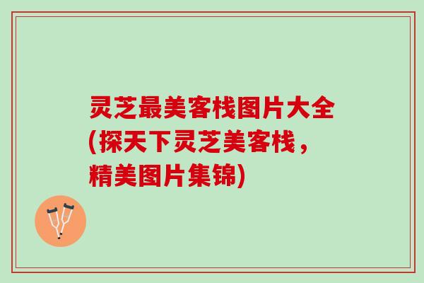灵芝最美客栈图片大全(探天下灵芝美客栈，精美图片集锦)