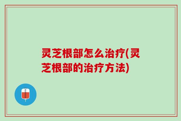 灵芝根部怎么治疗(灵芝根部的治疗方法)