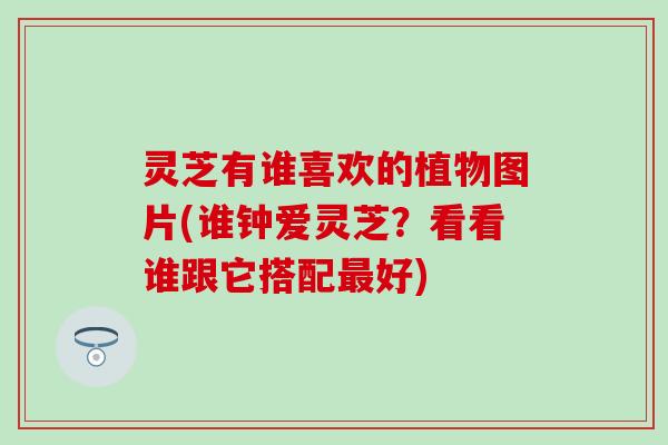 灵芝有谁喜欢的植物图片(谁钟爱灵芝？看看谁跟它搭配最好)