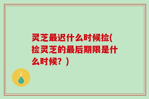 灵芝最迟什么时候捡(捡灵芝的最后期限是什么时候？)