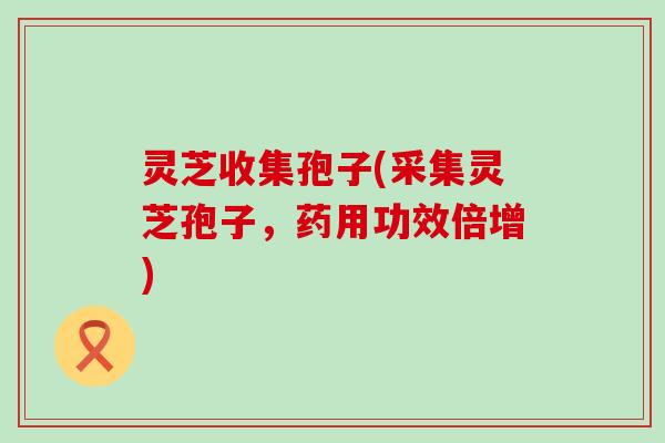 灵芝收集孢子(采集灵芝孢子，药用功效倍增)