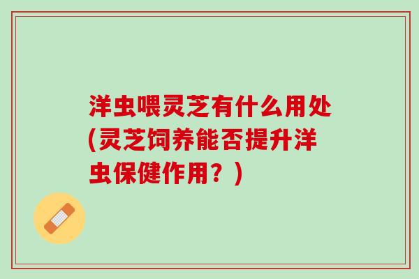 洋虫喂灵芝有什么用处(灵芝饲养能否提升洋虫保健作用？)