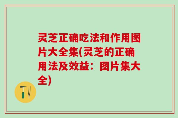 灵芝正确吃法和作用图片大全集(灵芝的正确用法及效益：图片集大全)
