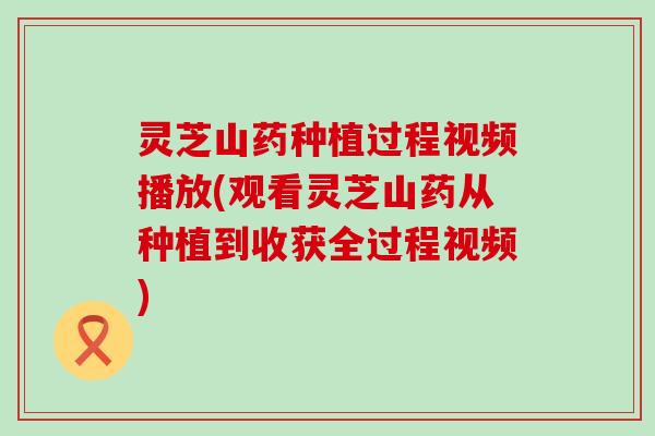 灵芝山药种植过程视频播放(观看灵芝山药从种植到收获全过程视频)
