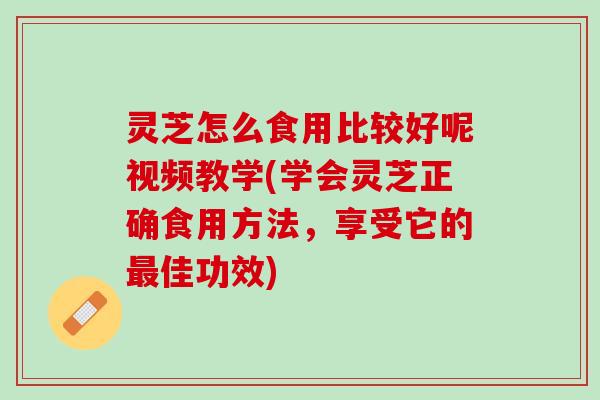 灵芝怎么食用比较好呢视频教学(学会灵芝正确食用方法，享受它的最佳功效)