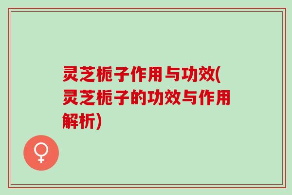 灵芝栀子作用与功效(灵芝栀子的功效与作用解析)
