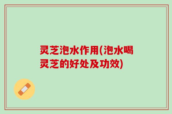 灵芝泡水作用(泡水喝灵芝的好处及功效)