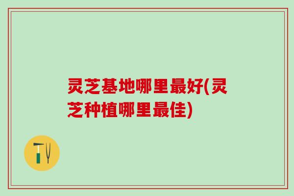灵芝基地哪里最好(灵芝种植哪里最佳)