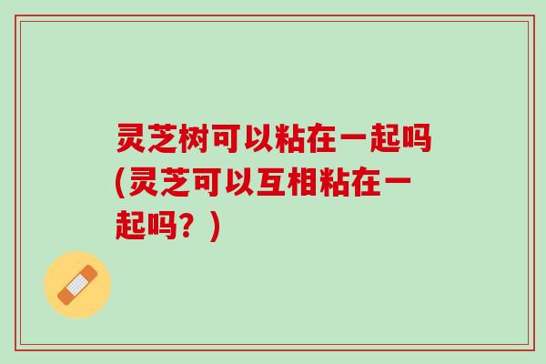 灵芝树可以粘在一起吗(灵芝可以互相粘在一起吗？)