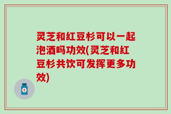 灵芝和红豆杉可以一起泡酒吗功效(灵芝和红豆杉共饮可发挥更多功效)
