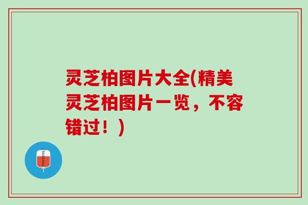 灵芝柏图片大全(精美灵芝柏图片一览，不容错过！)