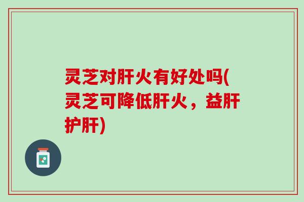 灵芝对肝火有好处吗(灵芝可降低肝火，益肝护肝)