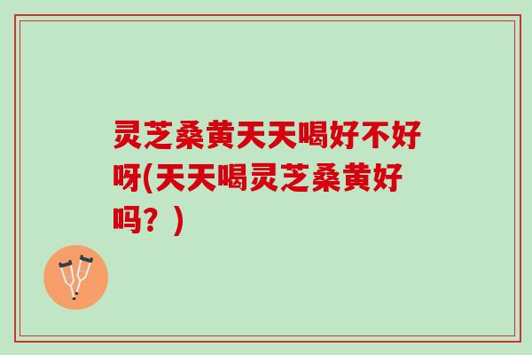 灵芝桑黄天天喝好不好呀(天天喝灵芝桑黄好吗？)