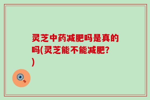 灵芝中药减肥吗是真的吗(灵芝能不能减肥？)
