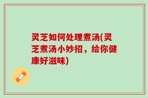 灵芝如何处理煮汤(灵芝煮汤小妙招，给你健康好滋味)