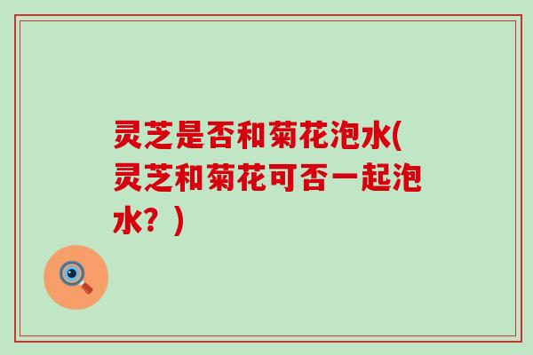 灵芝是否和菊花泡水(灵芝和菊花可否一起泡水?) 灵芝是否和菊花泡水(灵芝和菊花可否一起泡水?)
