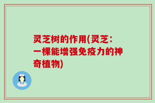 灵芝树的作用(灵芝：一棵能增强免疫力的神奇植物)