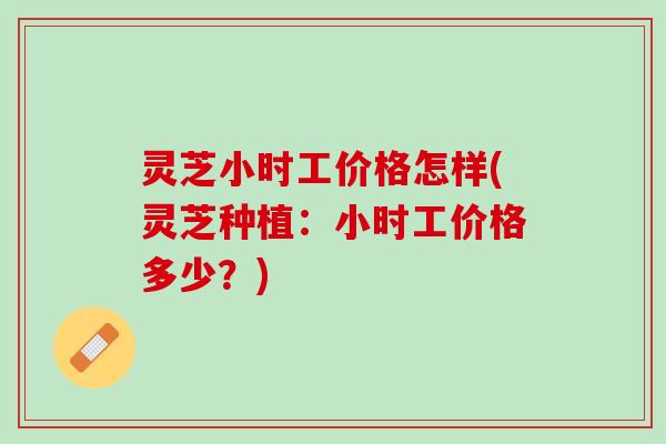 灵芝小时工价格怎样(灵芝种植：小时工价格多少？)