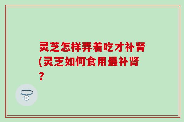 灵芝怎样弄着吃才补肾(灵芝如何食用最补肾？