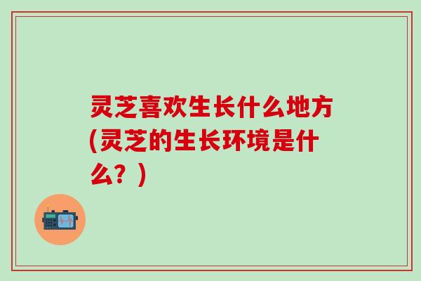 灵芝喜欢生长什么地方(灵芝的生长环境是什么？)
