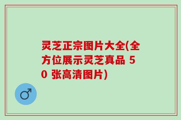 灵芝正宗图片大全(全方位展示灵芝真品 50 张高清图片)