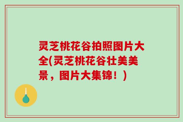 灵芝桃花谷拍照图片大全(灵芝桃花谷壮美美景，图片大集锦！)