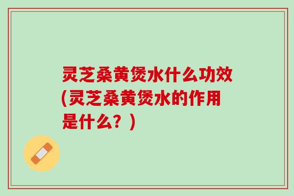 灵芝桑黄煲水什么功效(灵芝桑黄煲水的作用是什么？)