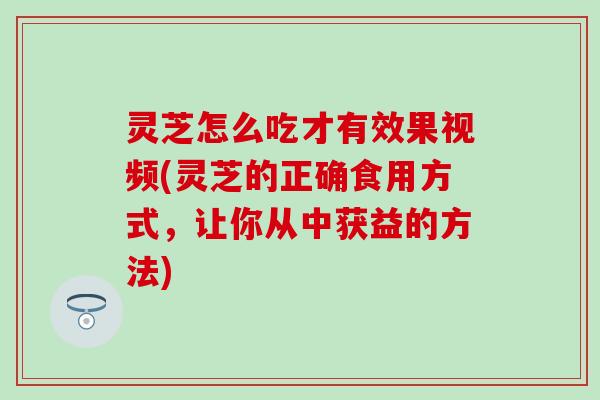 灵芝怎么吃才有效果视频(灵芝的正确食用方式，让你从中获益的方法)