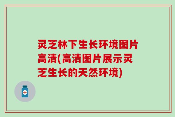 灵芝林下生长环境图片高清(高清图片展示灵芝生长的天然环境)