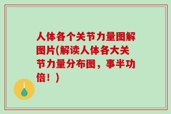 人体各个关节力量图解图片(解读人体各大关节力量分布图，事半功倍！)