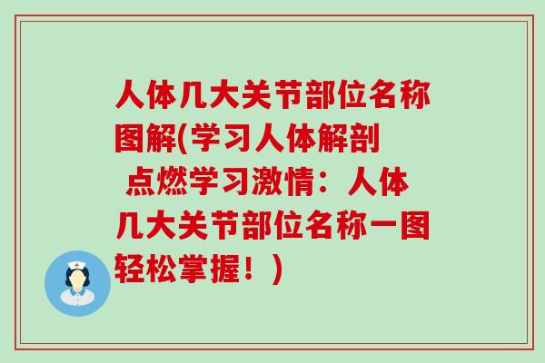 人体几大关节部位名称图解(学习人体解剖  点燃学习激情：人体几大关节部位名称一图轻松掌握！)