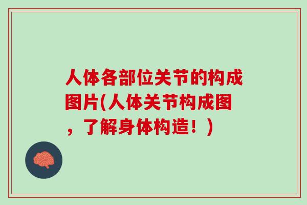 人体各部位关节的构成图片(人体关节构成图，了解身体构造！)