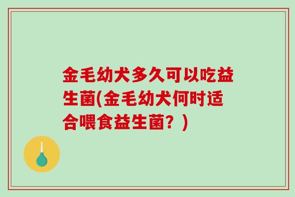 金毛幼犬多久可以吃益生菌(金毛幼犬何时适合喂食益生菌？)