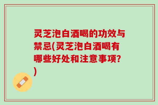 灵芝泡白酒喝的功效与禁忌(灵芝泡白酒喝有哪些好处和注意事项？)