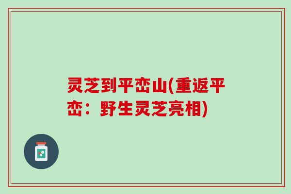 灵芝到平峦山(重返平峦：野生灵芝亮相)