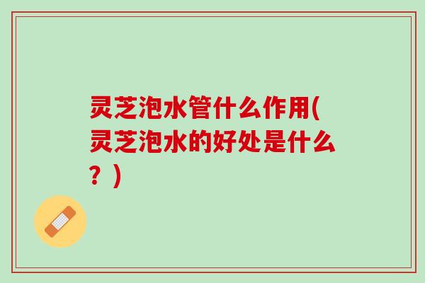 灵芝泡水管什么作用(灵芝泡水的好处是什么？)