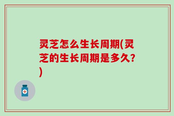 灵芝怎么生长周期(灵芝的生长周期是多久？)