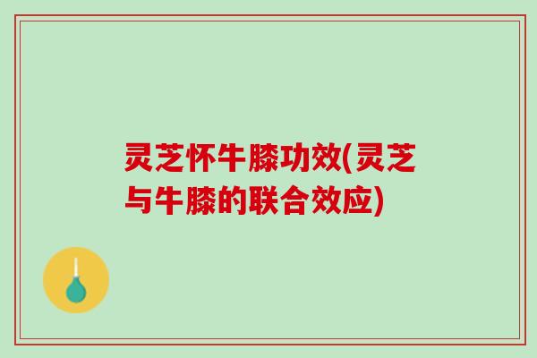 灵芝怀牛膝功效(灵芝与牛膝的联合效应)