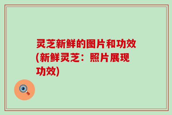 灵芝新鲜的图片和功效(新鲜灵芝：照片展现功效)