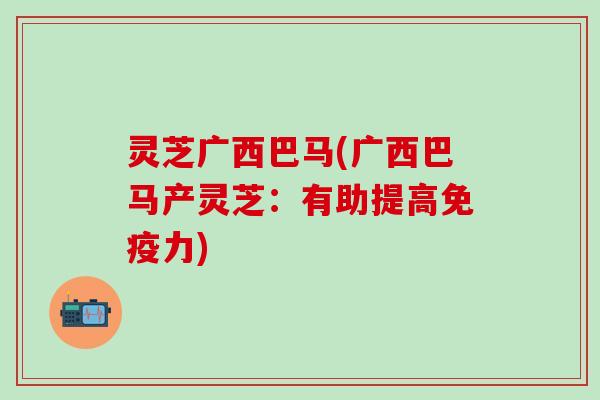 灵芝广西巴马(广西巴马产灵芝：有助提高免疫力)